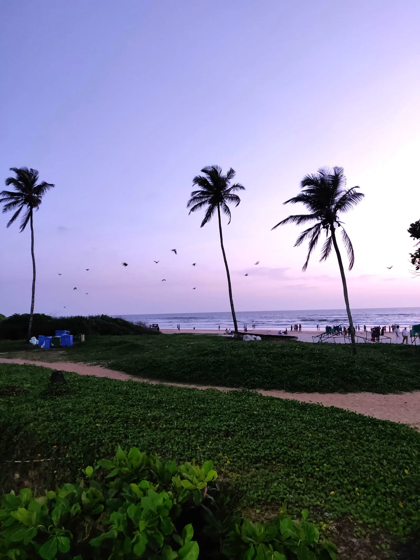 Goa Boutique Beach Weekender in Goa